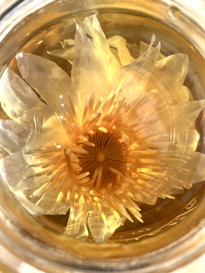 Blue Lotus helps you to develop energetic self mastery and move out of subconscious programming and ancestral patterns around victimhood, scarcity, fear and distrust into empowerment, trust, attunement to energetic realms and conscious reciprocal co-creation with the Divine for the highest good for all living beings.