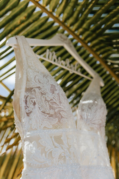 Wedding dress photo hung in a palm tree at a destination wedding resort in Cabo San Lucas, MX