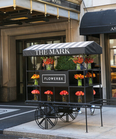 The Mark 2