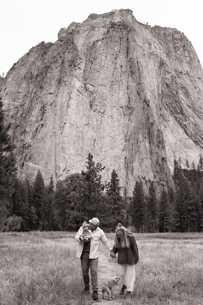 yosemite family photographer
