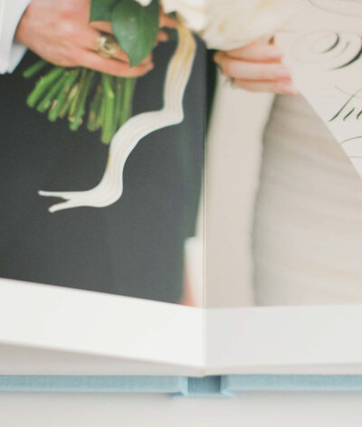 Dad tosses his little girl while mom snuggles her newborn baby brother