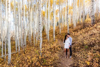 Josie_V_Photography_Fall_Colorado_Engagement_5