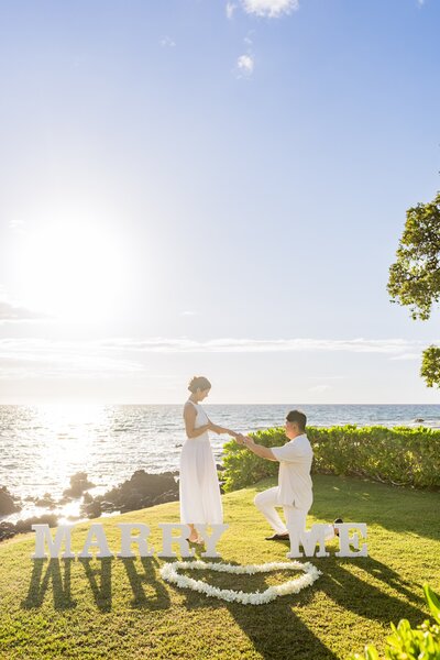 Big Island Proposal Five-Star Resort Proposal Package