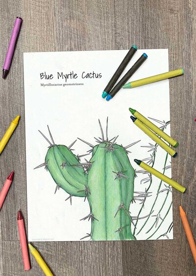 Townsend's blue myrtle cactus coloring page
