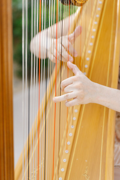 Harpist's hands poised to play