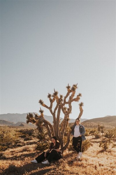 A queer couple poses in front of a Joshua tree in a desert landscape on the outskirts of Las Vegas, Nevada, one sitting and the other standing.