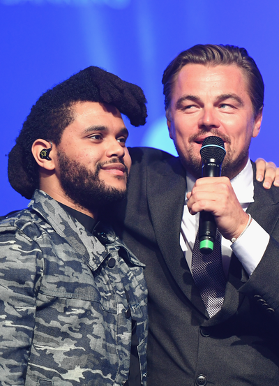 Leonardo DiCaprio Foundation