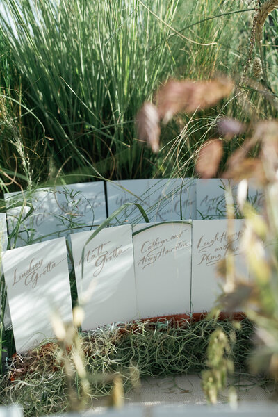 SophieAdamWeddingPreviews71_websize