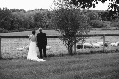 Bride and groom walk up memorial steps at their DC wedding