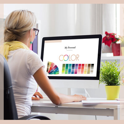 Client with Virtual Palette2