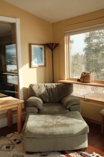 Green lounger chair in a sunroom