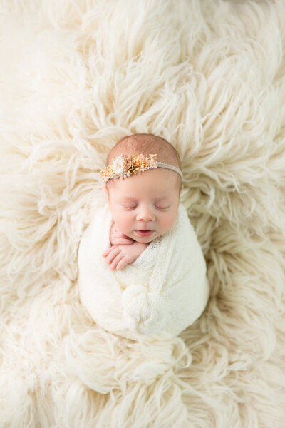 newborn-photo-shoot-1