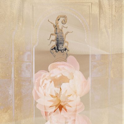 zodiac collage
