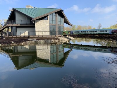 Magee Marsh, for birding and other natural wonders