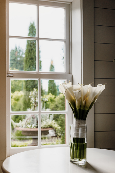 Get in touch for weddings, engagements, boudoir, family, or senior sessions. Minnesota photographer capturing true-to-life, joyful moments.