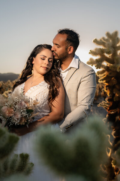 Joshua Tree Elopement Bride and Groom portrait at Cholla Cactus Garden kissing during golden sunset with off camera flash.