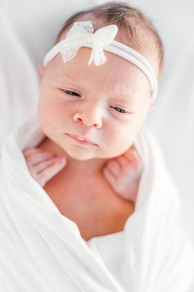 Wedding Planners in the Elko Area