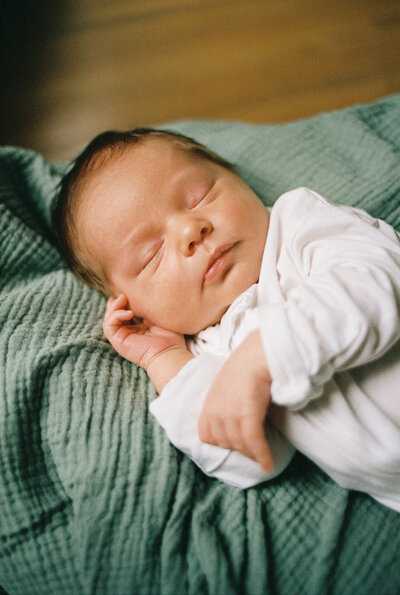 Newborn baby in a basket with crochet blanket looking at a dog