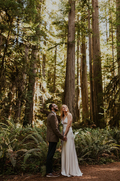 Redwood National Park elopement