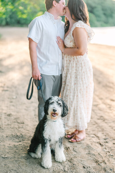 Beach engagement session at sunset with dog at portage lakes metro park