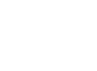 White moth for the web design section for Elyana Studio Showit Website branding