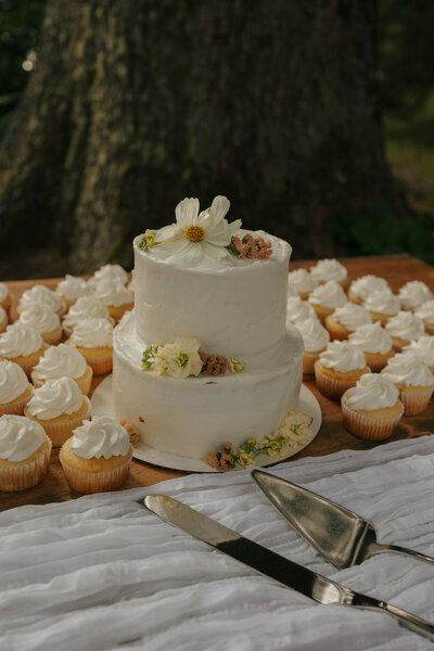Plecker Wedding-222