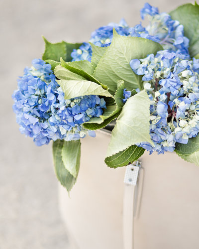 Flowers Blue-2
