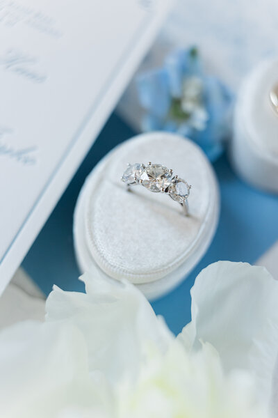 Jacksonville Wedding PhotorgapherA1302