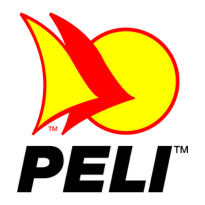 Logo IFAM
