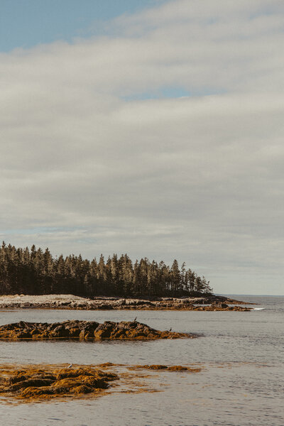 photo of rocky coastline