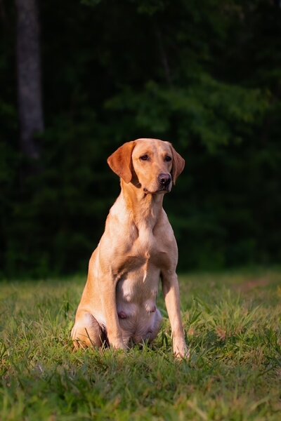 Picture of Vanna