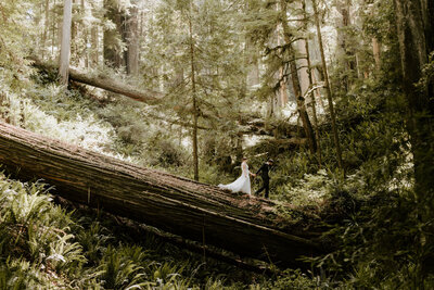 Couple twirling in El Capitan Meadow for Yosemite Elopement