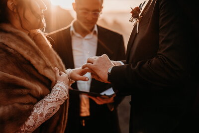 bride and groom exchanging rings