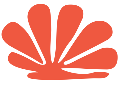 __Illustration-shell-rozy-horizon