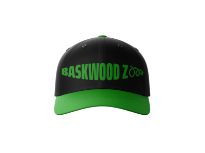 Free_Baseball_Cap_Mockup_1
