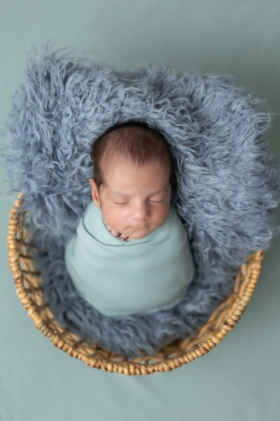 Sterling Heights Newborn Photography Savvy Shoots