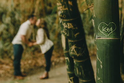 la arboretum engagement photography--100