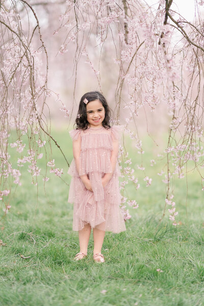Little girl wearing a pink dress standing under the cherry blossoms in Wilmington, DE.