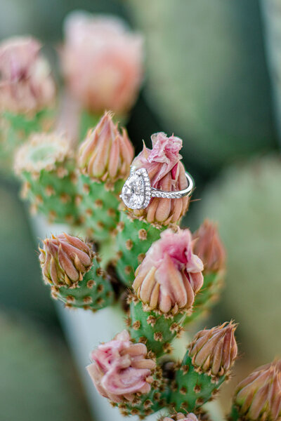 Marissa & Spencer Eng-7