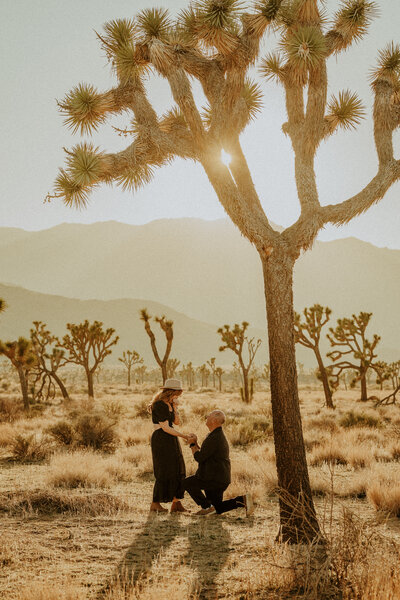 Man kneeling down to propose to his girlfriend in Joshua Tree National Park California
