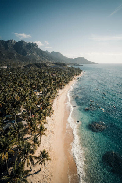 Tropical coastline bathed in sunlight, lush mountains rising behind palms, with surfers gliding across turquoise water.