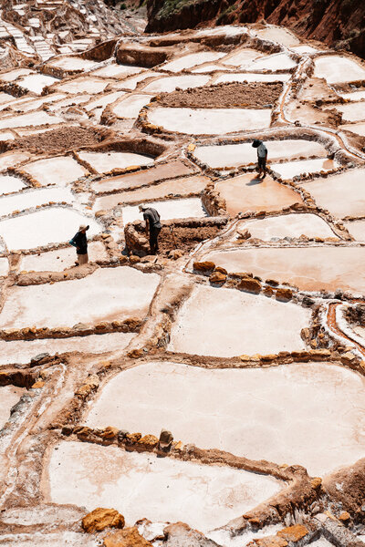 Salt Farm (6 of 9)
