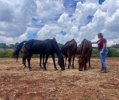 Horse Guided Empowerment Coaching Session With Leadership & life coach supporting change-makers to transform their lives through self-connection. Horse-led session with a herd of horses in liberty in Kenya.