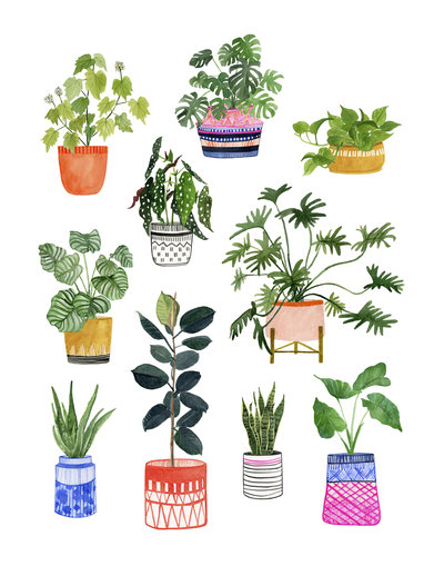 Plant Wall Print