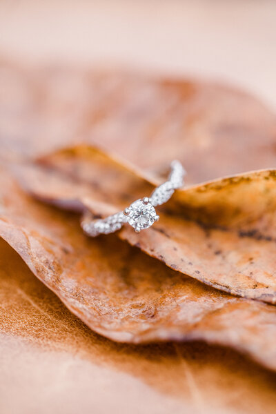 holly_damian_engaged-0275