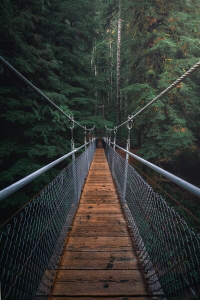 Walkway bridge in nature representing substance abuse therapy and. our willingness to step into a new life