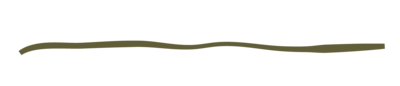 Alyn Wellness wavy line web element