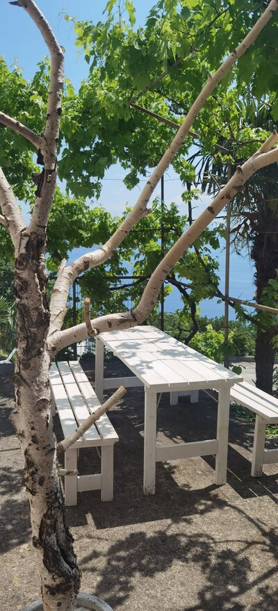 Croatia Best Retreat 2024 Best Yoga Retreat Croatia Best Retreat Europe Womens Retreat Croatia Opatija Self-Love Yoga Retreat Croatia Yoga Retreat Europe Self-Love Retreat Croatia