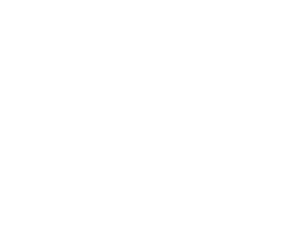 Pittsburgh wedding photographer logo