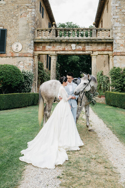 grey horse wedding